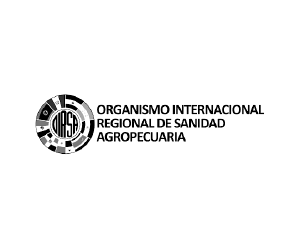 Artboard 15